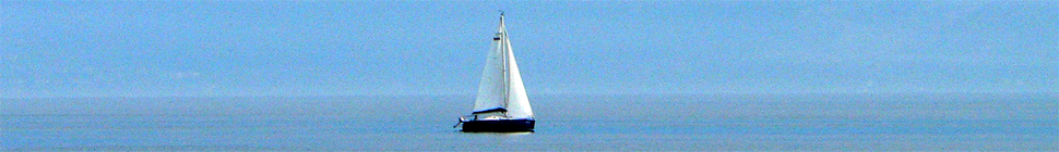 Holly Witteman random header image